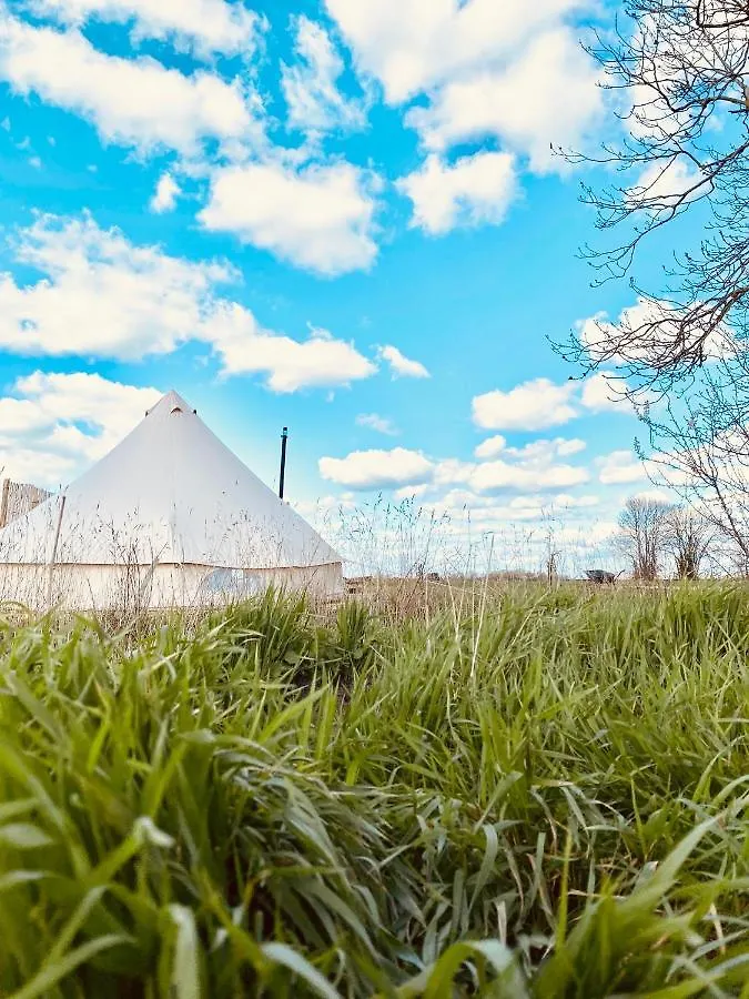 Fen Meadows Glamping - Luxury Cabins And Bell Tents Cambridge  0*,  Reino Unido